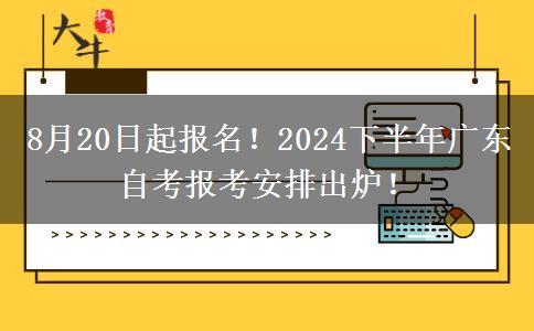 8月20日起报名！2024下半年广东自考报考安排出炉！