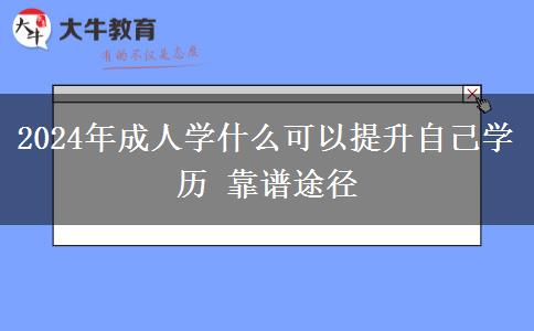 2024年成人学什么可以提升自己学历 靠谱途径