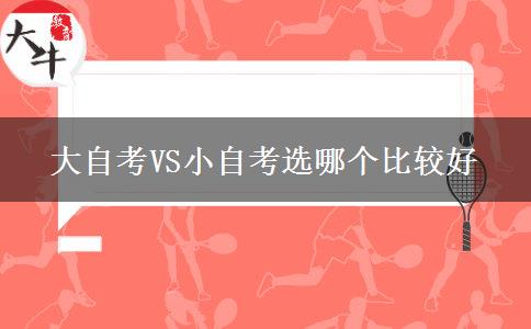 大自考VS小自考选哪个比较好