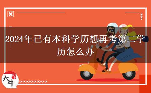 2024年已有本科学历想再考第二学历怎么办