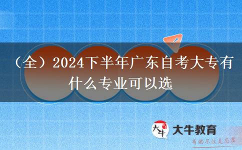 （全）2024下半年广东自考大专有什么专业可以选