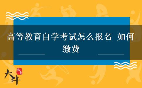 高等教育自学考试怎么报名 如何缴费