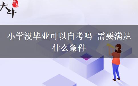 小学没毕业可以自考吗 需要满足什么条件