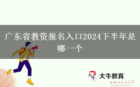 广东省教资报名入口2024下半年是哪一个