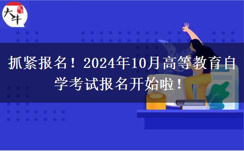 抓紧报名！2024年10月高等教育自学考试报名开始啦！