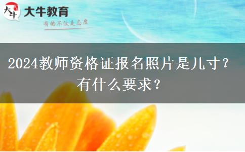 2024教师资格证报名照片是几寸？有什么要求？