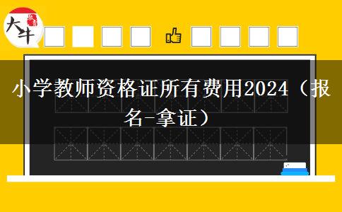 小学教师资格证所有费用2024（报名-拿证）