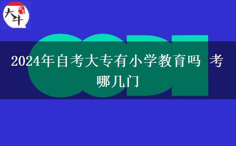 2024年自考大专有小学教育吗 考哪几门