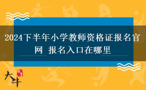 2024下半年小学教师资格证报名官网 报名入口在哪里