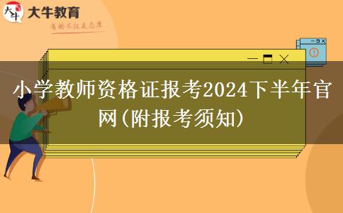 小学教师资格证报考2024下半年官网(附报考须知)