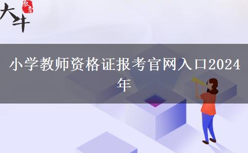 小学教师资格证报考官网入口2024年