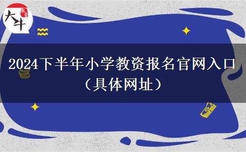 2024下半年小学教资报名官网入口（具体网址）