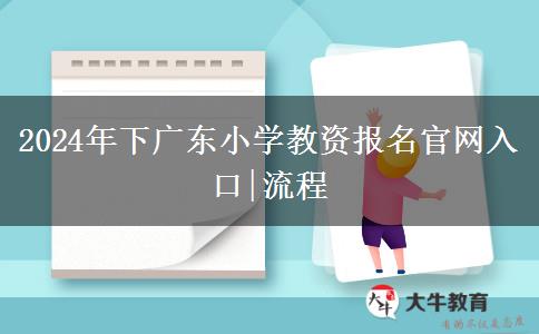 2024年下广东小学教资报名官网入口|流程