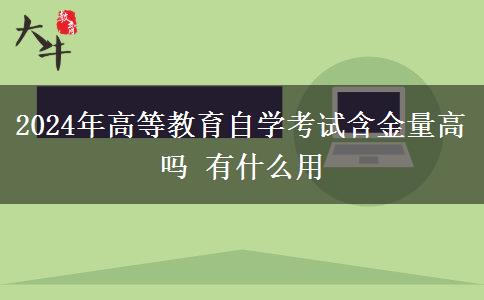 2024年高等教育自学考试含金量高吗 有什么用