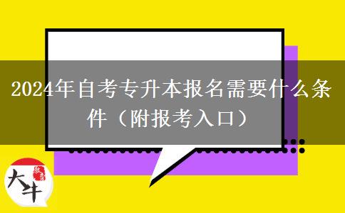 2024年自考专升本报名需要什么条件（附报考入口）