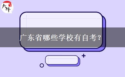 广东省哪些学校有自考？