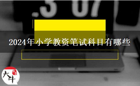 2024年小学教资笔试科目有哪些