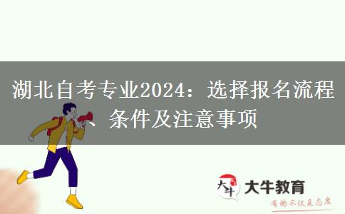 湖北自考专业2024：选择报名流程、条件及注意事项