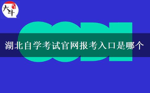 湖北自学考试官网报考入口是哪个