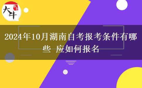 2024年10月湖南自考报考条件有哪些 应如何报名