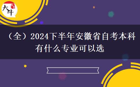 （全）2024下半年安徽省自考本科有什么专业可以选