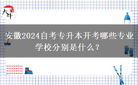 安徽2024自考专升本开考哪些专业 学校分别是什么？