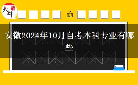 安徽2024年10月自考本科专业有哪些