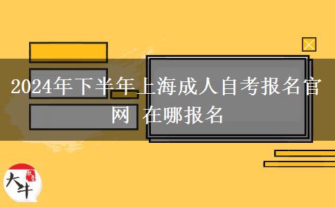 2024年下半年上海成人自考报名官网 在哪报名