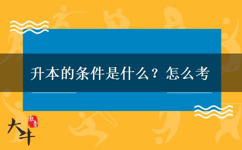 升本的条件是什么？怎么考