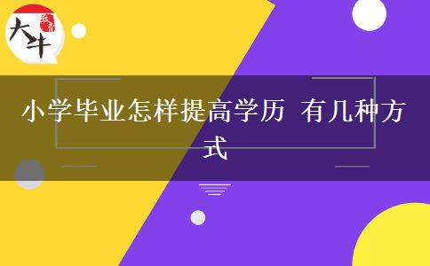 小学毕业怎样提高学历 有几种方式