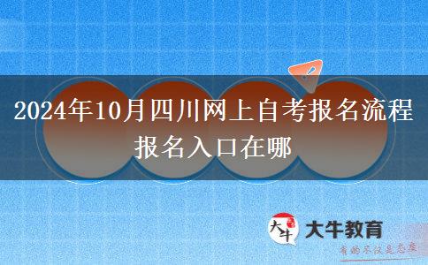 2024年10月四川网上自考报名流程 报名入口在哪