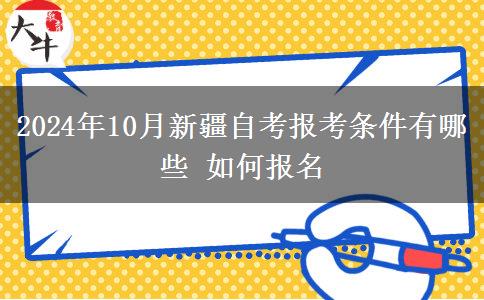 2024年10月新疆自考报考条件有哪些 如何报名