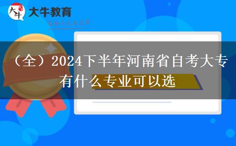 （全）2024下半年河南省自考大专有什么专业可以选