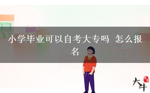 小学毕业可以自考大专吗 怎么报名