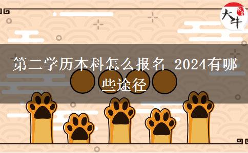 第二学历本科怎么报名 2024有哪些途径