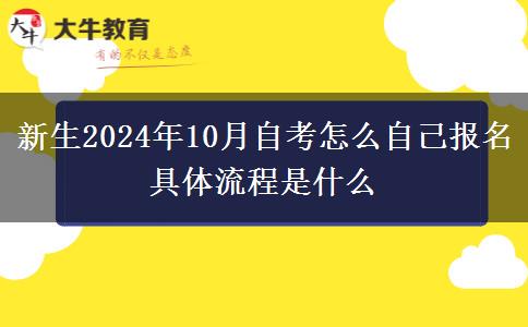 新生2024年10月自考怎么自己报名 具体流程是什么