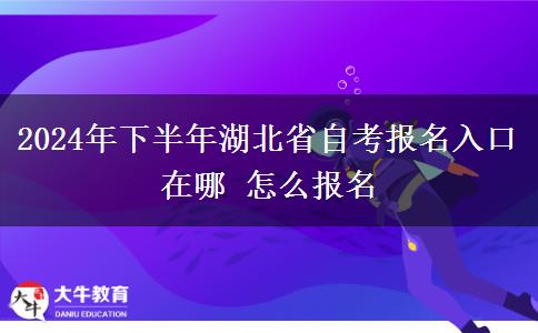 2024年下半年湖北省自考报名入口在哪 怎么报名