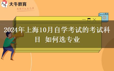 2024年上海10月自学考试的考试科目 如何选专业