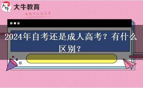 2024年自考还是成人高考？有什么区别？