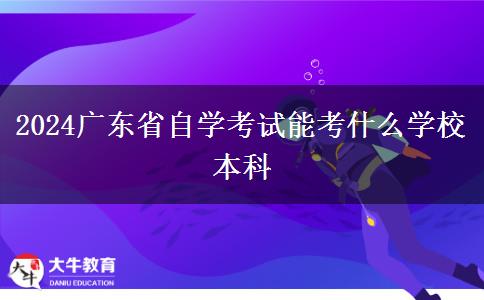 2024广东省自学考试能考什么学校本科