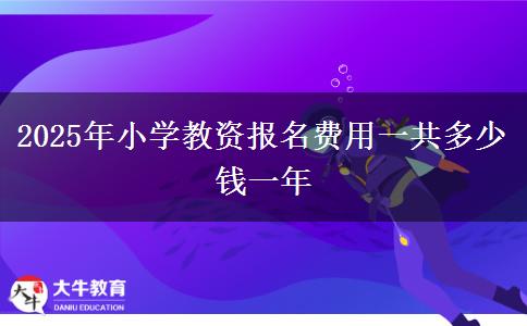 2025年小学教资报名费用一共多少钱一年