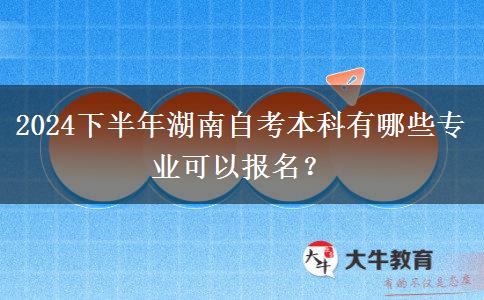 2024下半年湖南自考本科有哪些专业可以报名？