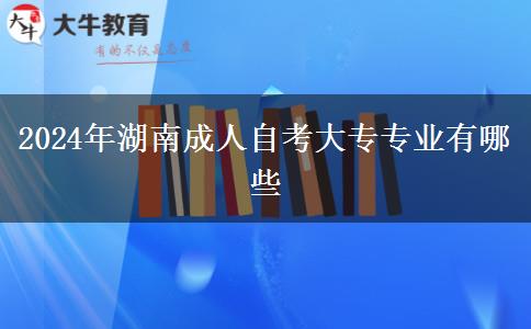 2024年湖南成人自考大专专业有哪些