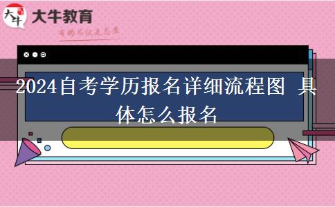 2024自考学历报名详细流程图 具体怎么报名