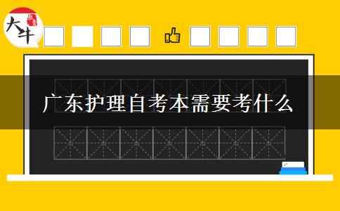 广东护理自考本需要考什么