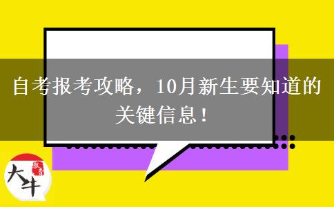 自考报考攻略，10月新生要知道的关键信息！