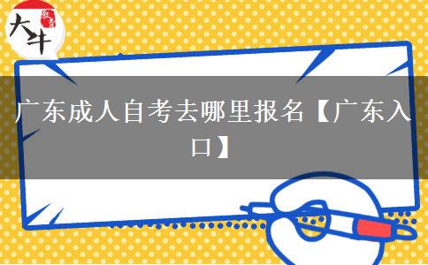 广东成人自考去哪里报名【广东入口】