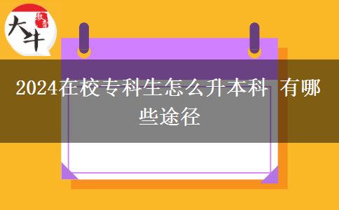 2024在校专科生怎么升本科 有哪些途径