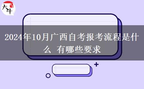 2024年10月广西自考报考流程是什么 有哪些要求