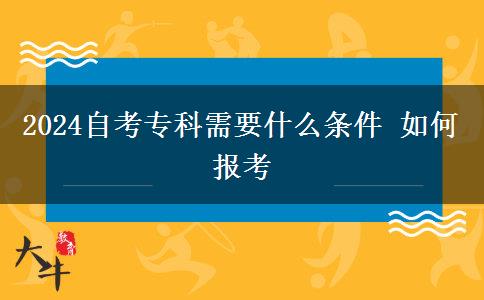 2024自考专科需要什么条件 如何报考